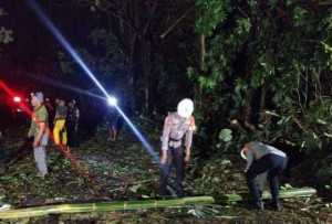 Reaksi Cepat Tim SAR Sat Brimob Polda Jabar Evakuasi Pohon Tumbang di Sumedang