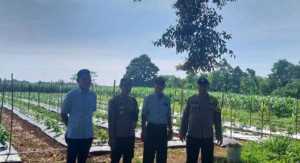 Polsek Rumpin Sambangi Kelompok Tani Tunas Muda Tarogong, Berikan Imbauan Kamtibmas dan Dukung Ketahanan Pangan