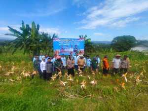 Polsek Dramaga Bersama Forkopimcam DAn Kades Desa Purwosari Serta Poktani Yayasan Ponpes Zaid Bin Tsabit Panen Jagung Hibrida Gugus Tugas