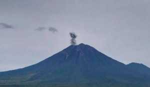 Berpotensi meletus, aktivitas Gunung Semeru masih tinggi! Kenali 4 level status gunung berapi