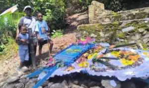 Tragis! Ibu hamil di Papua meninggal usai ditolak 4 RS, Gubernur minta maaf