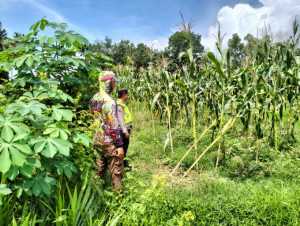 Polsek Semendawai Suku III Bangun Sinergitas Dengan Petani, Dorong Suksesnya Program Ketahanan Pangan