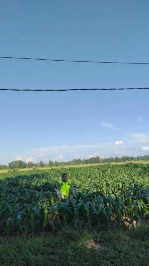 Polsek Semendawai Suku III Perkuat Ketahanan Pangan, Aktif Monitoring Tanaman Petani