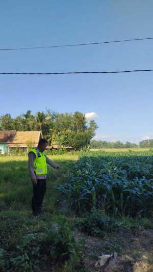 Tingkatkan Produktivitas, Polsek Semendawai Suku III himbau Warga Manfaatkan Lahan Pekarangan