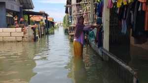 Ribuan rumah di Indramayu terendam banjir rob