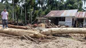 Kayu gelondongan berserakan di Aceh Tenggara, Bupati: Dari Tapteng
