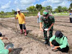 Sukseskan Ketahanan Pangan, Dandim 1016 Plk Hadiri Penanaman Padi Gogo 