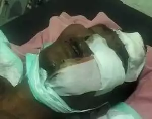 Diduga Mengalami Gangguan Jiwa, Seorang Warga Pendatang Mengamuk di Kuta Berakhir Babak Belur Diamuk Massa