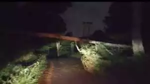 Pohon Tumbang, akses jalan terhalang, di Cilame pabangbon 