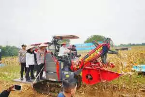 Kapolri-Ketua Komisi IV Pimpin Panen Raya Jagung Serentak, Wujud Nyata Dukung Ketahanan Pangan Nasional