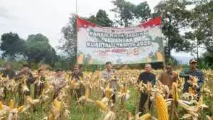 Polres Bogor Dukung Program Ketahanan Pangan Nasional melalui Panen Raya Jagung Serentak Kuartal I Tahun 2026