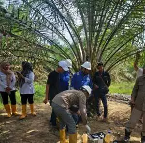 Diduga Cemari Lingkungan, Aktivitas Pengeboran PT SRMD di Muratara Disoal Warga dan Aktivis