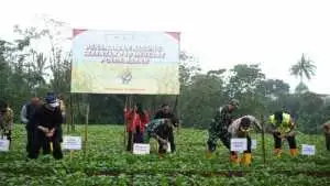 Polres Bogor Laksanakan Penanaman Jagung Serentak Kuartal I Dukung Ketahanan Pangan Nasional