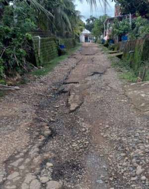 Warga Dusun 4 Desa Sungai Dua Keluhkan Kondisi Jalan Rusak, Minta Segera Diperbaiki