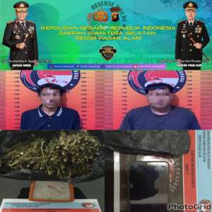 Lagi Lagi Polres Pagar Berhasil Ringkus Pengejar Barang Haram dengan BB 700 gram Ganja