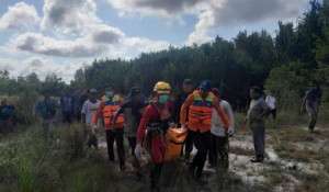 Nelayan di Bangka tewas diserang buaya di sungai Limbung