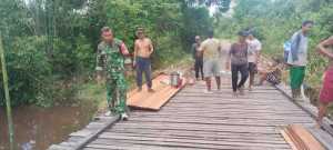 Wujud Kepedulian kepada Masyarakat, Babinsa Gotong Royong Perbaiki Jembatan