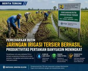 Pemeliharaan Rutin Jaringan Irigasi Tersier Berhasil, Produktivitas Pertanian Banyuasin Meningkat