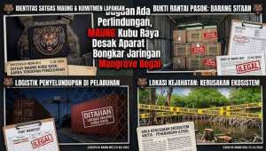 Satu Hutan, Dua Kejahatan: MAUNG Kubu Raya Minta Polisi Sambungkan Titik Kasus Mangrove