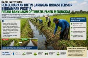 BBWS Sumatera VIII dan P3A Berhasil Jaga Irigasi Tersier, Petani Banyuasin Rasakan Dampak Nyata