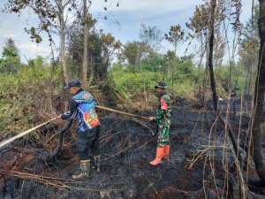 Gerak Cepat Anggota Kodim 1016/Plk Bantu Padamkan Api Karhutla