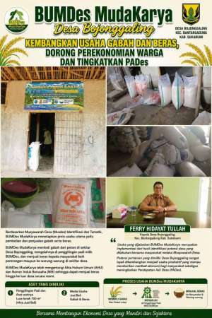 BUMDes MudaKarya Desa Bojonggaling Kembangkan Usaha Gabah dan Beras, Dorong Perekonomian Warga dan Tingkatkan PADes