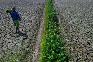 Kekeringan mengancam, BMKG: Saat ini El Nino masuk kategori kuat