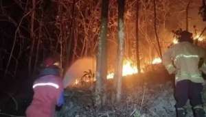 Kebakaran Hutan Blondo Gunungkidul, hampir 1 hektare lahan hangus