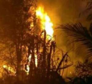 Polsek Sandes diduga Kurang Tegas,Masakan Minyak di Keban 1 Terbakar