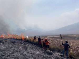 Karhutla Gunung Bromo meluas, jalur wisata ditutup sementara