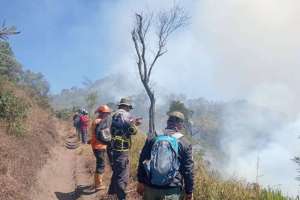 Kebakaran Gunung Bromo meluas, api mengarah ke kawasan wisata Lumajang