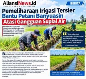 Pemeliharaan Irigasi Tersier Bantu Petani Banyuasin Atasi Gangguan Suplai Air