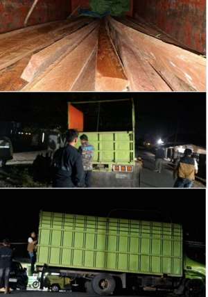 KPH Rongkong Berhasil Amankan Kayu Ilegal Dari Kecamatan Rongkong
