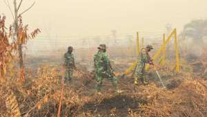 Anggota Kodim 1016/PlkTerus Laksanakan Pembasahan di Lokasi Terdampak Karhutla 