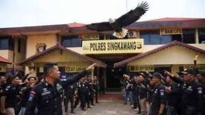 Layanan 110 Tak Berfungsi, Tim Rajawali Akan Datangi Polres Singkawang: Ada Apa Sebenarnya Dengan Penanganan Kasus Mafia BBM