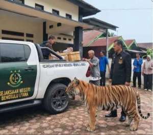PT Kusuma Tri Perkasa Muncul dalam Berkas - DPC Maung Jelaskan Keterkaitannya Secara Terbuka