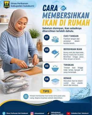 Dinas Perikanan Kabupaten Sukabumi Bagikan Tips Menyimpan Ikan agar Tetap Segar dan Bermutu
