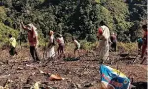 Jaga Produksi, Kementan Siapkan Antisipasi Hadapi Kekeringan