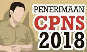 Inilah Ketentuan Rekrutmen CPNS 2018 Dari Jalur Fomasi Khusus