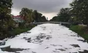 Lebih Komprehensif Tentang AMDAL Dalam Pandangan Aliansi Indonesia [2]
