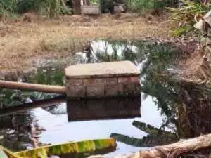 Limbah Pusri Cemarkan Lingkungan Hidup di Kelurahan Sei Selayur, Palembang?