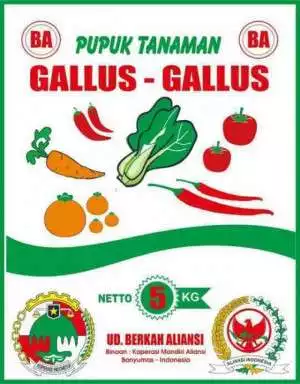 Pupuk dan Pestisida Organik dari Cangkang Telur, Produk Koperasi Binaan Aliansi Indonesia
