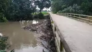 Terkait Tumpukan Sampah Di Bawah Jembatan Gunung Sugih, Kanda Budi Aliansi Minta Pemkab Segera Bertindak