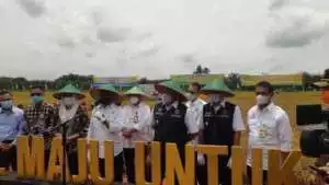 Menteri Pertanian Didampingi Gubernur Dan Bupati Hadiri Panen Raya