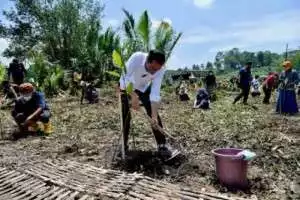 Antisipasi Perubahan Iklim, Presiden Jokowi Tanam Mangrove Bersama Masyarakat di Cilacap