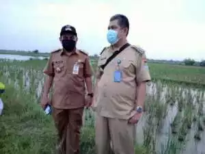BOCAH 11 TAHUN TENGGELAM DI BEKAS GALIAN TANAH