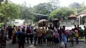 ASN Berani Nekat Cuti Saat Libur Nataru, Ini Ancaman Keras dari Kepala BKN