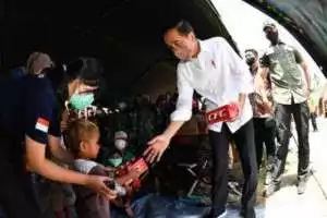 Presiden Jokowi Pastikan Penanganan Dampak Erupsi Semeru Berjalan Baik