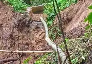 Petani di Ciminyak - Lebak Mengeluh Irigasi Rusak 