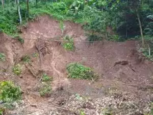 Petani di Ciminyak, Kabupaten Lebak, Mengeluh Irigasi Rusak 